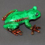 Newly Discovered "Tiger Frog" Replica In Bronze Limited Edition Signed Numbered 4 small
