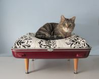 Pet Beds Made From Vintage Luggage 1 small