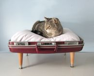 Pet Beds Made From Vintage Luggage 4 small