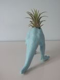 Upcycled Dinosaur Planter - Blue Tyrannosaurus Rex With Tillandsia Air Plant 4 small