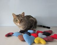 Upcycled Organic Catnip Cat Toys Made From Recycled T-Shirts - Set Of Three 1 small