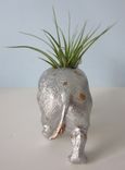 Upcycled Toy Planter - Extra Large Silver And Gold Polka Dot Hippo With Air Plant 1 small
