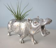 Upcycled Toy Planter - Extra Large Silver And Gold Polka Dot Hippo With Air Plant 3 small