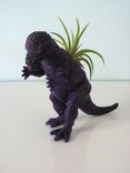 Upcycled Dinosaur Planter - Dark Purple Pachycephalosaurus With Tillandsia Air Plant 3 small