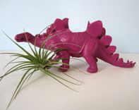 Upcycled Dinosaur Planter - Extra Large Purple Stegosaurus With Air Plant 4 small