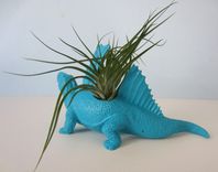 Upcycled Dinosaur Planter - Dimetrodon With Tillandsia Air Plant In Multiple Colors 3 small
