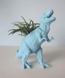 Upcycled Dinosaur Planter - Blue Tyrannosaurus Rex With Air Plant 1 small
