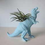 Upcycled Dinosaur Planter - Blue Tyrannosaurus Rex With Air Plant 3 small