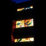 Catlea Orchid Stairwell Stained Glass Windows 1 small