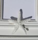 Housewares Beach Cottage Photo Frame 1 small