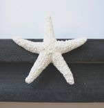 Housewares Cottage Beach Black Photo Frame 1 small
