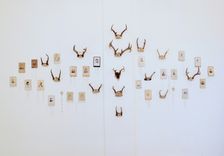 Art Installation Embroidered Antler And Photograph - Memory Wall 1 small