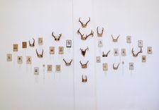 Embroidered Deer Antlers 2 small
