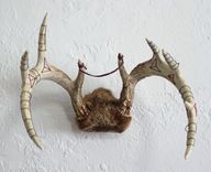 Embroidered Deer Antlers 3 small