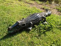Alligator 1 small