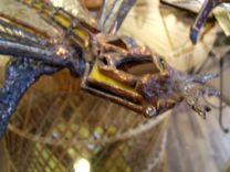 Art Nouveau Dragon Fly 2 small