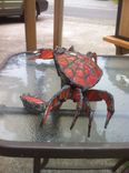 Dungeness Crab 1 small