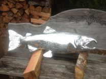 Spawning Salmon 5 small