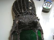 Alligator 3 small