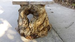 Gnarled Stump Bench 2 small