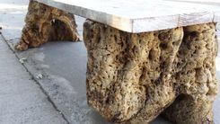 Gnarled Stump Bench 3 small