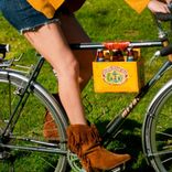 6-Pack Bicycle Frame Cinch 1 small