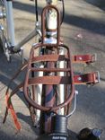 Strap-Downs 2 small