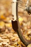 Mud Flaps 2 small