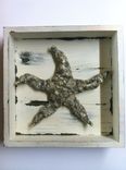 Shadow Box Starfish 1 small
