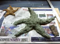 Shadow Box Starfish 3 small