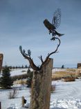 Red Tailed Hawk In Contours, Fabricated Metal Sculpture 1 small