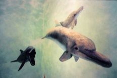 Underwater Bathroom Suite Mural By Visionary Mural Co. 4 small