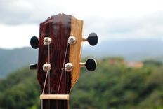 Pinol Guitars And Ukuleles Style Om-000  Solid Cocobolo Rosewood Body / Mahogany Top (Free Shiping) 2 small