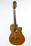 Pinol Guitars All Solid Cocobolo Rosewood/Spruce Handmade Spanish Classical 2 small