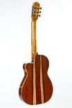 Pinol Guitars All Solid Cocobolo Rosewood/Spruce Handmade Spanish Classical 3 small