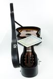 Pinol Guitars All Solid Cocobolo Rosewood/Spruce Handmade Spanish Classical 5 small