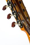 Pinol Guitars All Solid Cocobolo Rosewood/Spruce Handmade Spanish Classical 6 small