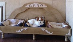 Raised Dog Bed For 3 Dogs 1 small
