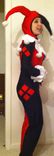 Harley Quinn Costume 2 small