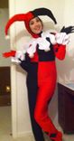 Harley Quinn Costume 1 small