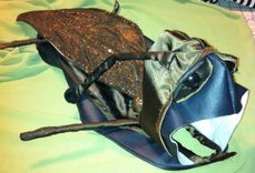 Canine Roach Costume 5 small