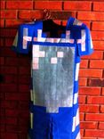 Minecraft Costume 6 small