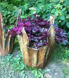 Concrete Planters 4 small