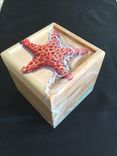 Red Sea Star Hand Painted Small Box 1 small