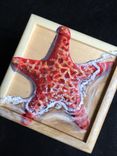 Red Sea Star Hand Painted Small Box 2 small