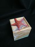 Red Sea Star Hand Painted Small Box 6 small