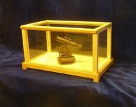Display Cases 1 small