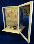 Display Cases 4 small
