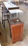 Museum Donation Pedestal 7 small