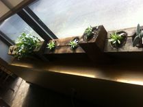 Wooden Succulent Containers 3 small